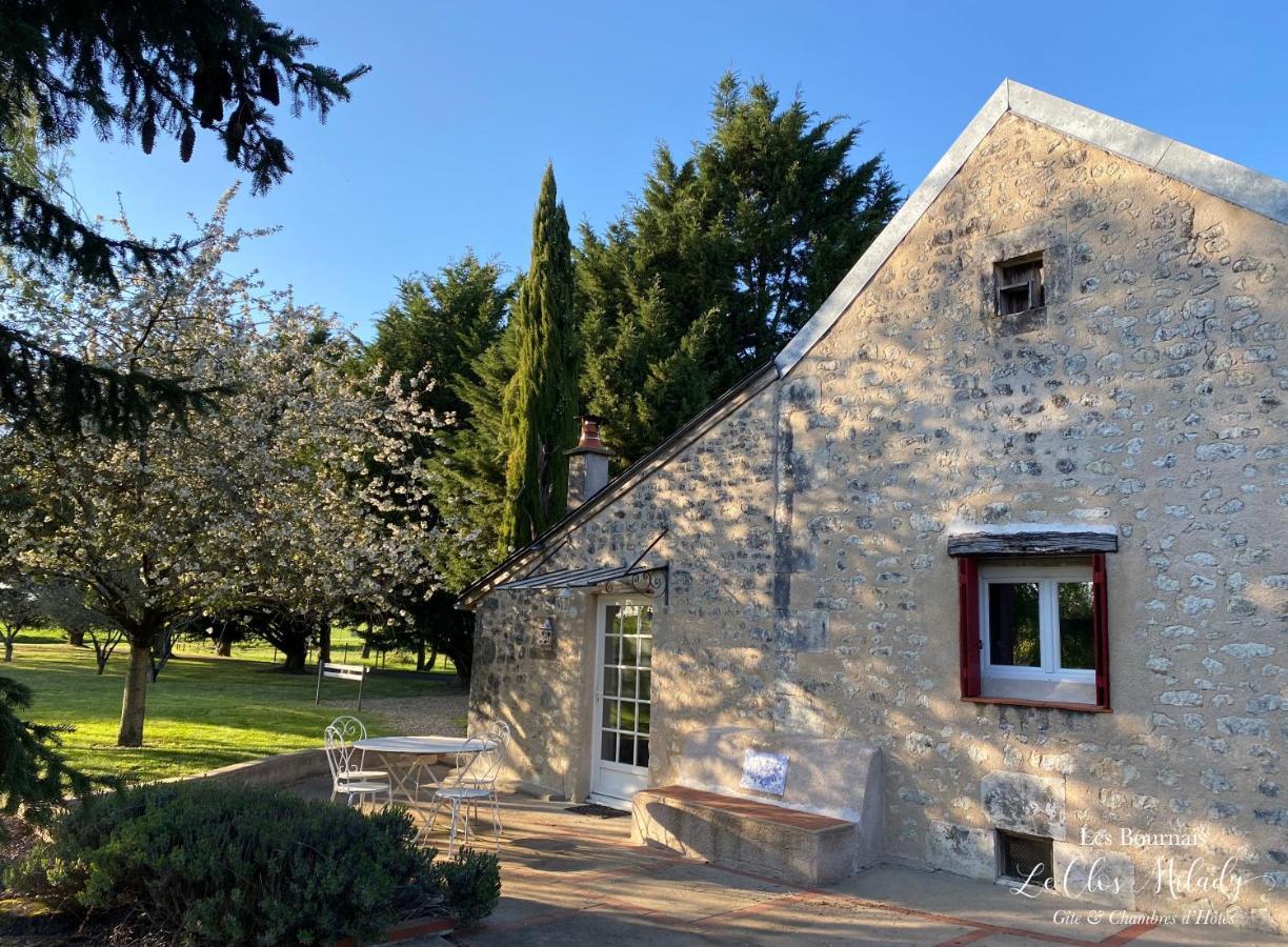 Chambres D'Hotes Les Bournais - Le Clos Milady L'Ile-Bouchard Экстерьер фото