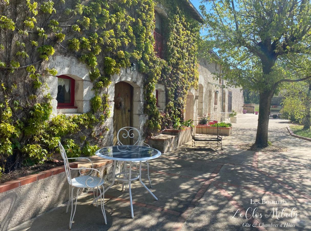 Chambres D'Hotes Les Bournais - Le Clos Milady L'Ile-Bouchard Экстерьер фото