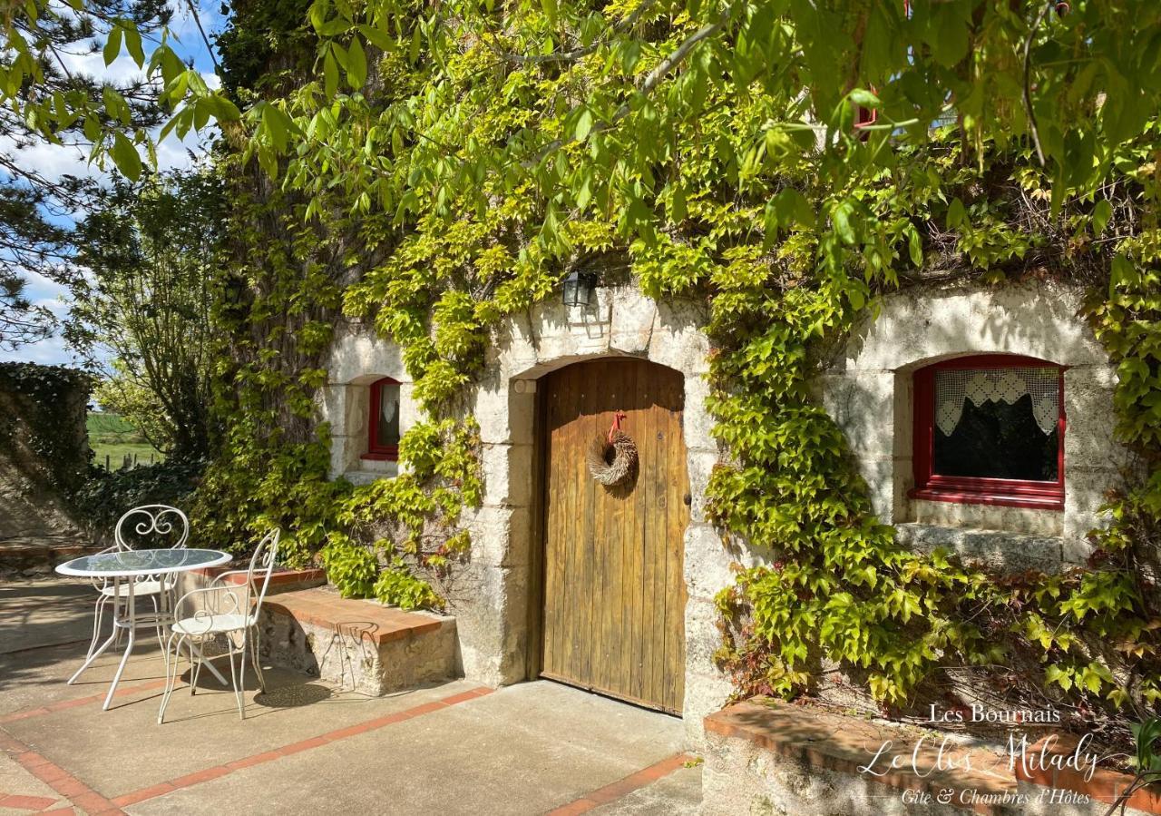 Chambres D'Hotes Les Bournais - Le Clos Milady L'Ile-Bouchard Экстерьер фото