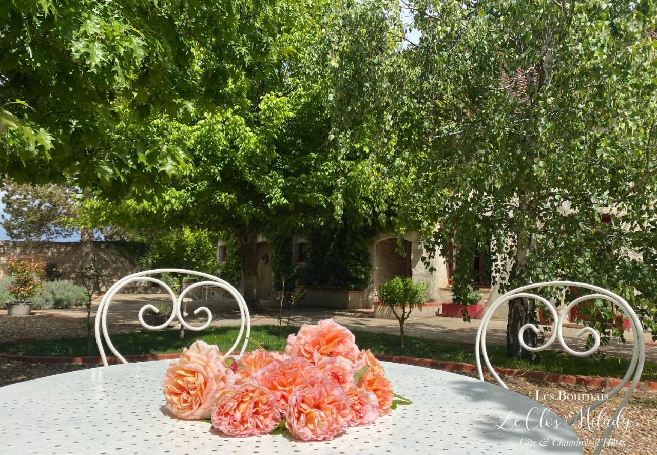 Chambres D'Hotes Les Bournais - Le Clos Milady L'Ile-Bouchard Экстерьер фото
