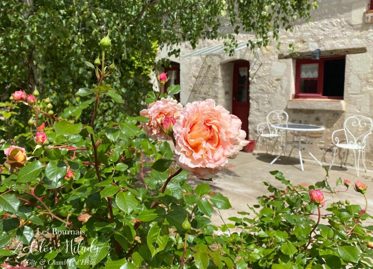 Chambres D'Hotes Les Bournais - Le Clos Milady L'Ile-Bouchard Экстерьер фото