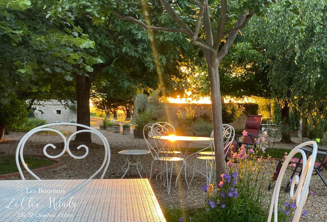 Chambres D'Hotes Les Bournais - Le Clos Milady L'Ile-Bouchard Экстерьер фото