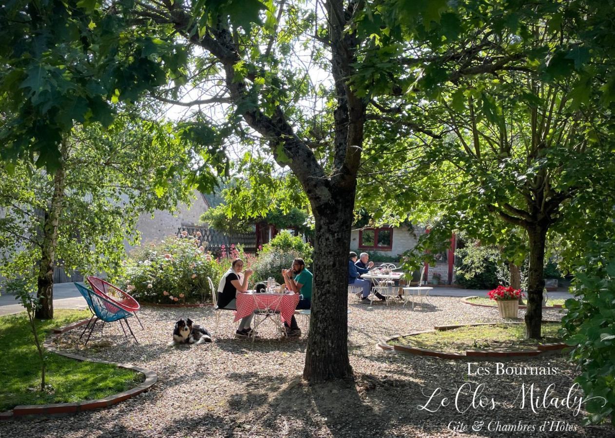 Chambres D'Hotes Les Bournais - Le Clos Milady L'Ile-Bouchard Экстерьер фото
