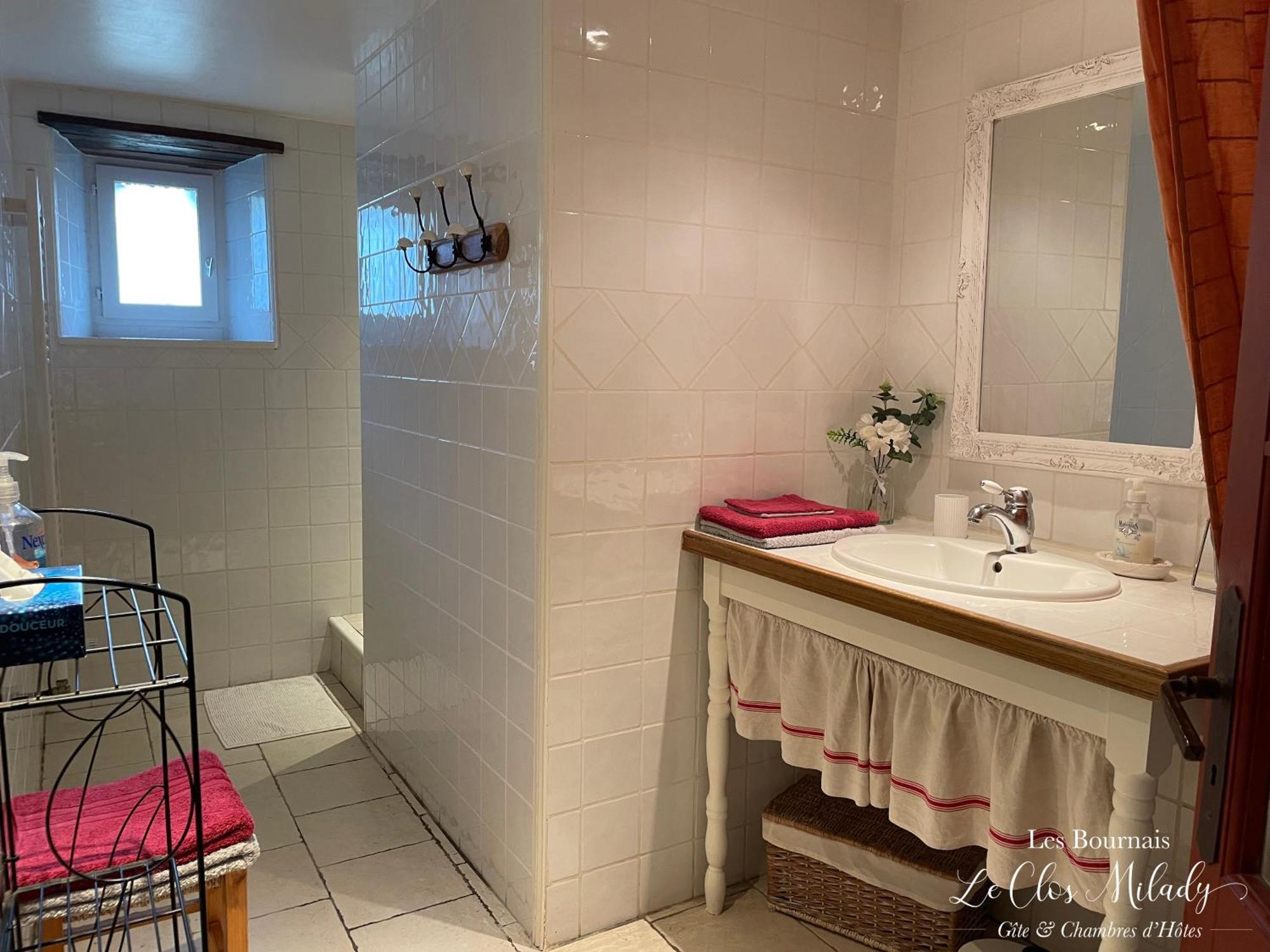 Chambres D'Hotes Les Bournais - Le Clos Milady L'Ile-Bouchard Экстерьер фото