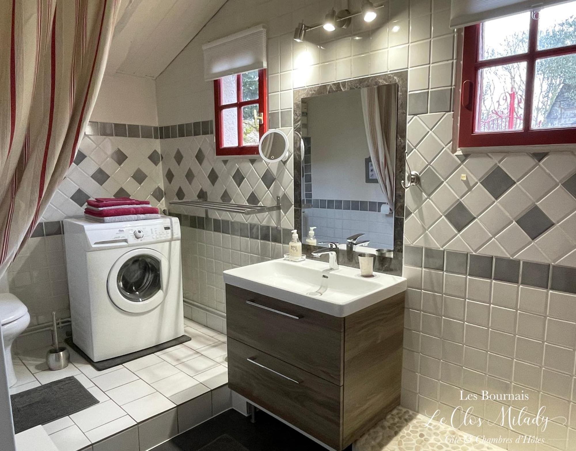 Chambres D'Hotes Les Bournais - Le Clos Milady L'Ile-Bouchard Экстерьер фото